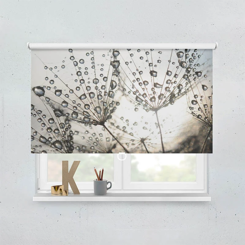 Springrollo Motiv "Pusteblume Tautropfen"