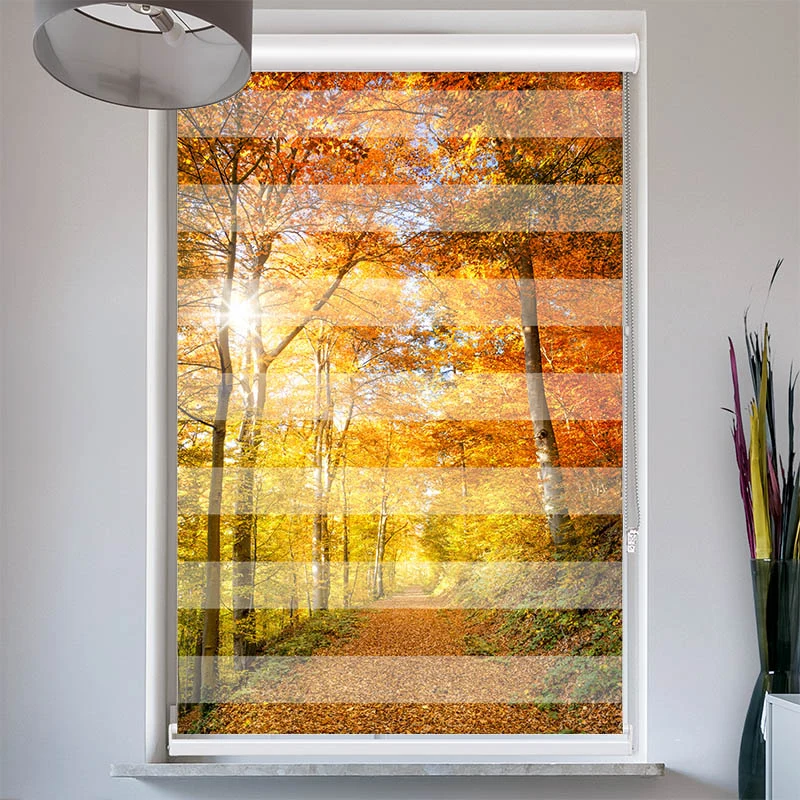 Doppelrollo mit Kassette "Waldweg Herbst"