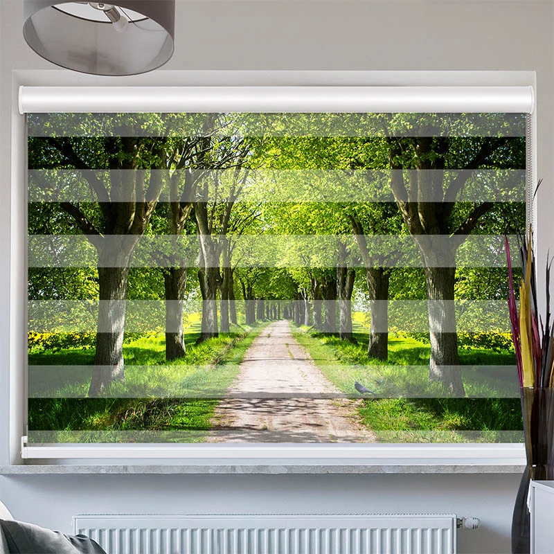 Doppelrollo mit Kassette "Schoene Allee"
