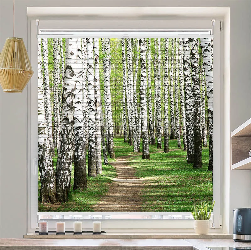 Plissee Motiv "Birkenwald Weg"