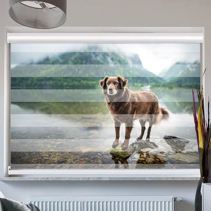 Doppelrollo mit Kassette "Hund am Bergsee"