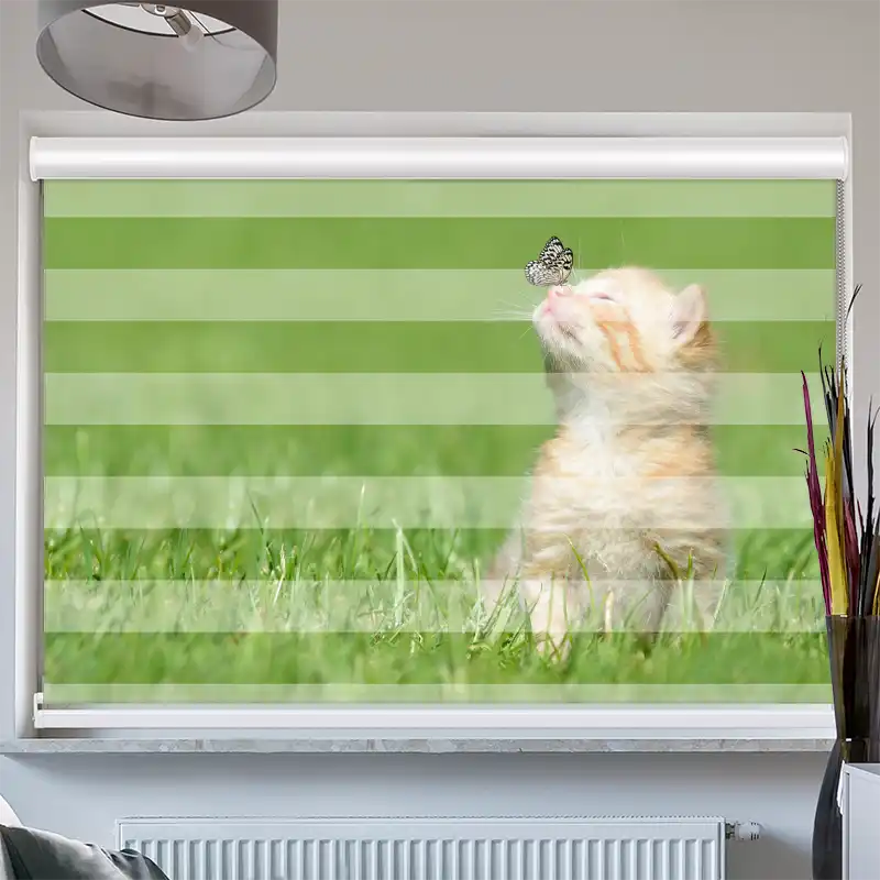 Doppelrollo mit Kassette "Kitten und Schmetterling"