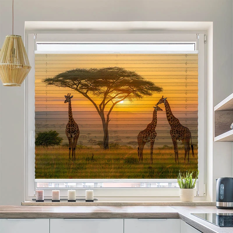Plissee Motiv "Afrika Giraffen Savanne"
