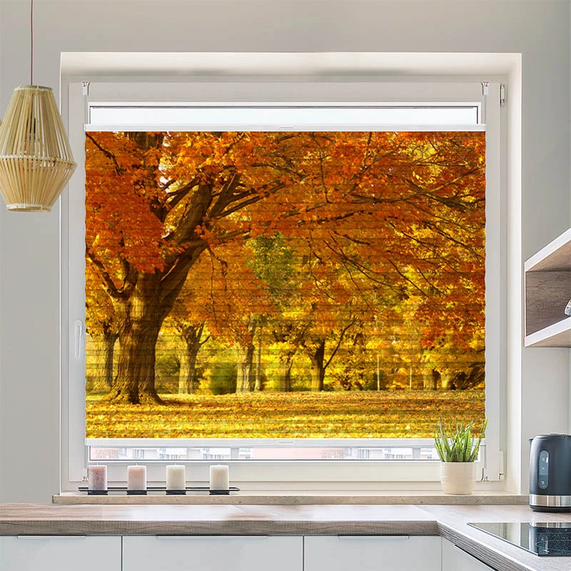 Plissee Motiv "Allee im Herbst"