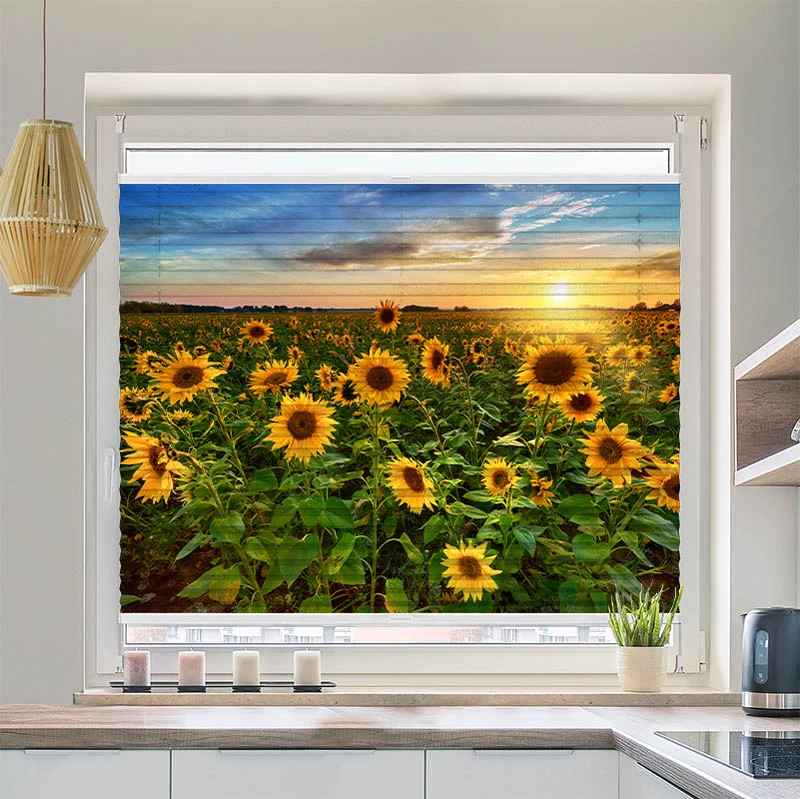 Plissee Motiv "Sonnenblumenfeld Sonnenaufgang"