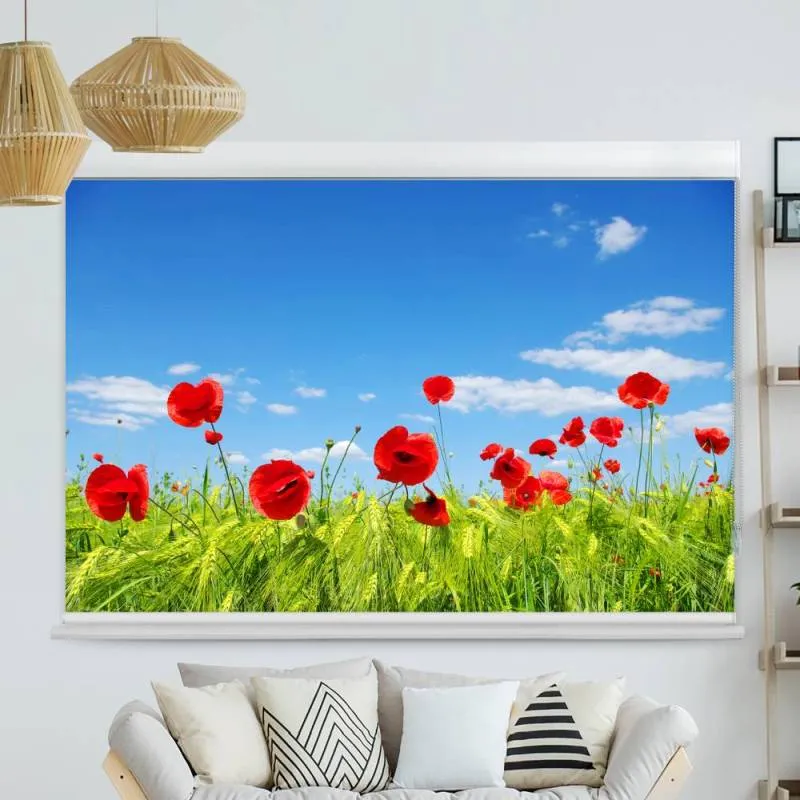 Kassettenrollo Motiv "Mohnblumen Wiese" | bis B 420 x H 420 cm