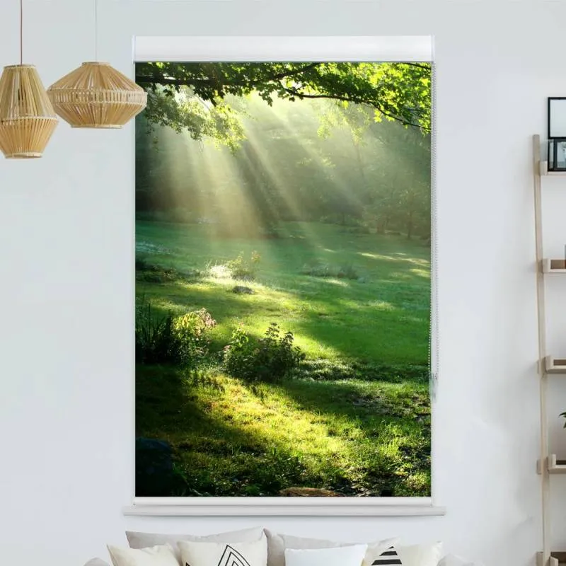 Kassettenrollo Motiv "Lichtung im Wald" | bis B 420 x H 420 cm
