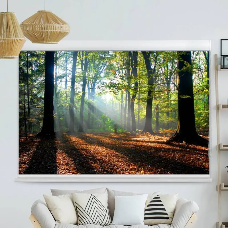 Kassettenrollo Motiv "Wald Laub Sonne" | bis B 420 x H 420 cm