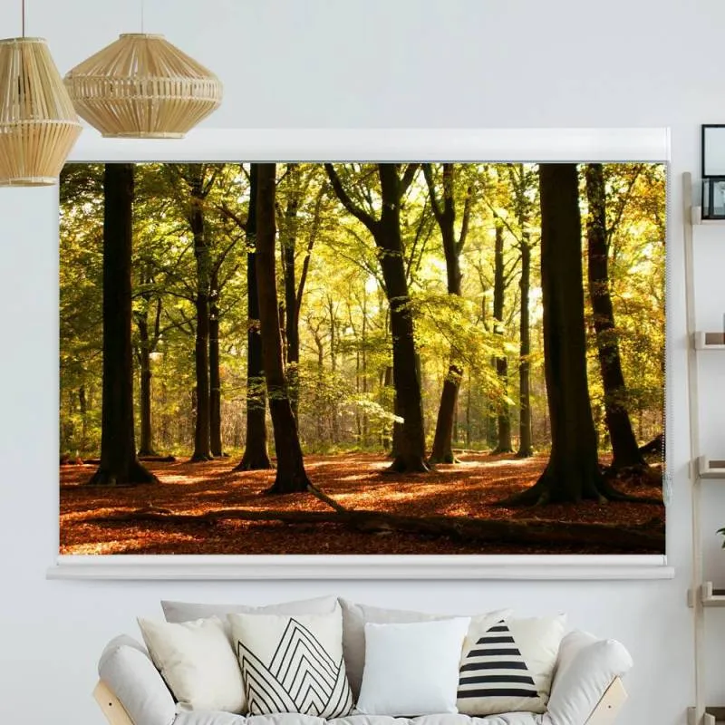 Kassettenrollo Motiv "Wald Sonnenstrahlen" | bis B 420 x H 420 cm