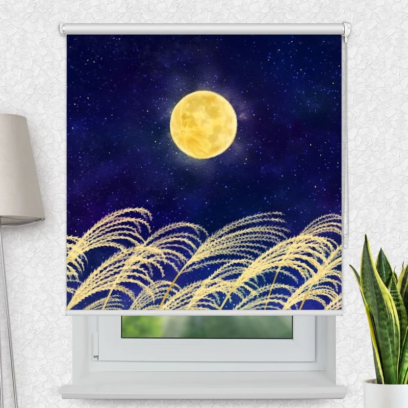 Motivrollo 'Pampas Gras Vollmond' | Bis B 430 x H 440 cm
