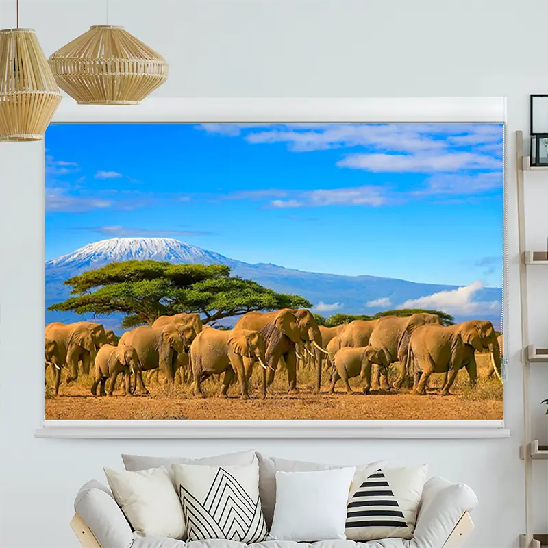 Kassettenrollo Motiv "Elefanten am Kilimandscharo" | bis B 420 x H 420 cm