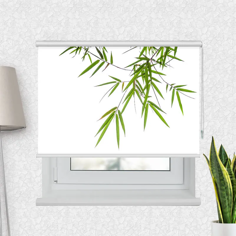 Motivrollo 'Bambus von Oben' | Bis B 430 x H 440 cm