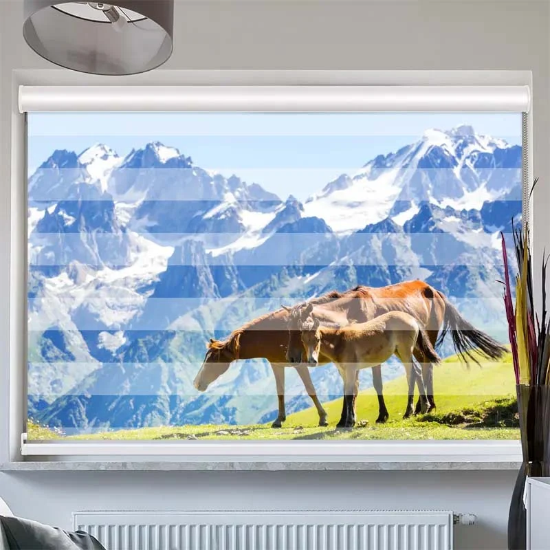 Doppelrollo mit Kassette "Pferde auf der Alm"