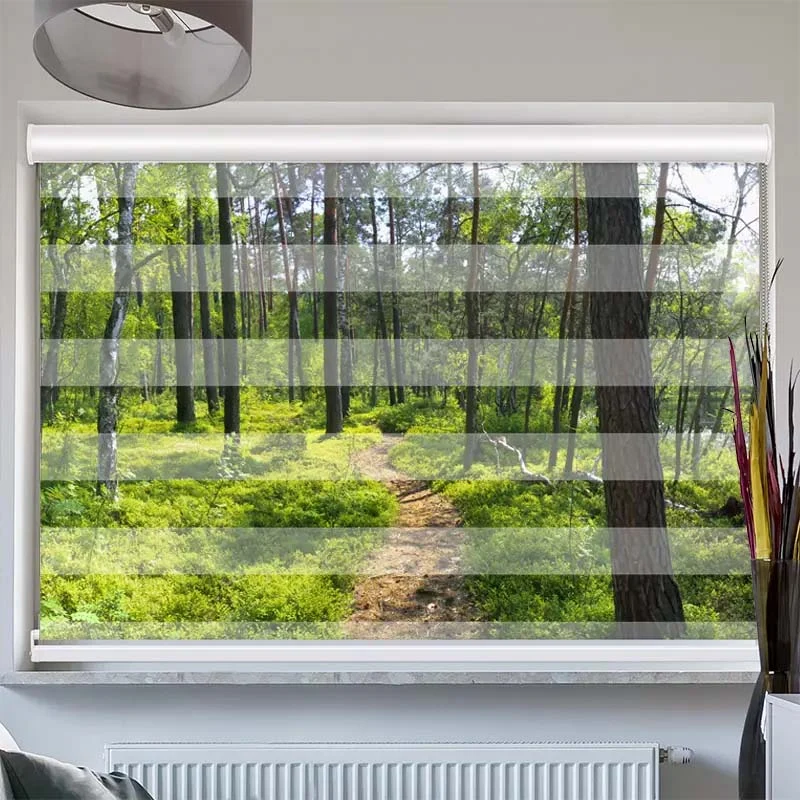Doppelrollo mit Kassette "Wald Sonnenstrahlen Panorama"