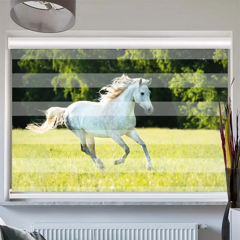 Doppelrollo mit Kassette "Weisses Pferd im Gras"