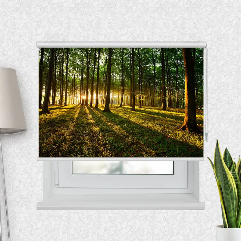 Motivrollo 'Sonnenstrahlen im Wald' | Bis B 430 x H 440 cm