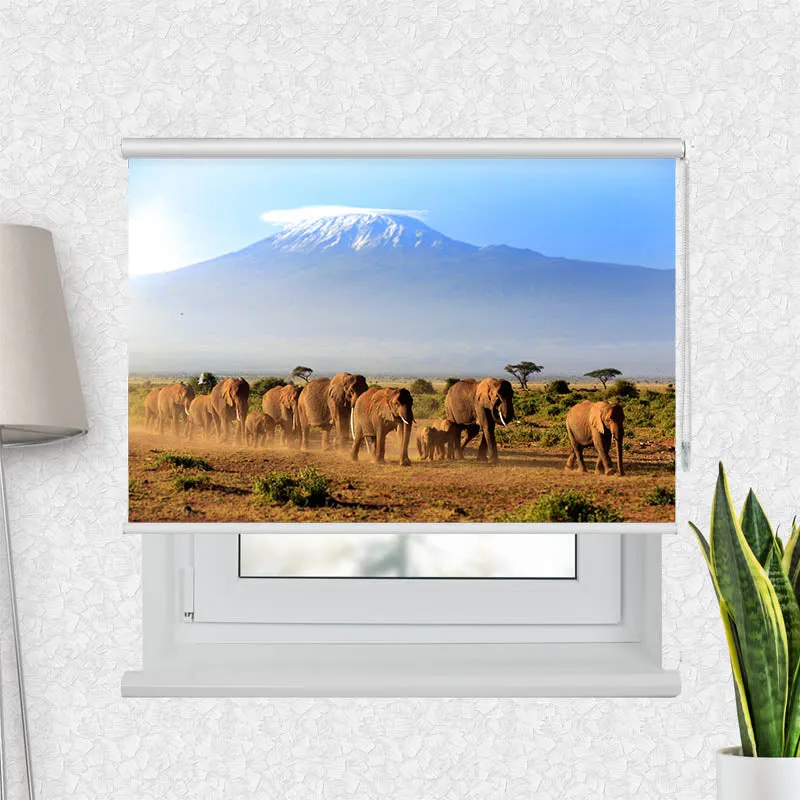 Motivrollo 'Elefanten am Kilimandscharo' | Bis B 430 x H 440 cm