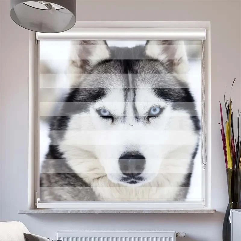 Doppelrollo mit Kassette "Husky"
