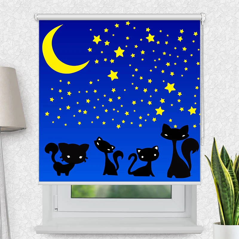 Motivrollo 'Katzen Unter dem Sternenhimmel' | Bis B 430 x H 440 cm