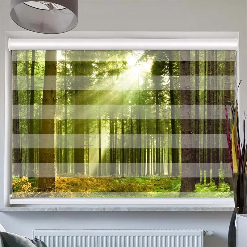 Doppelrollo mit Kassette "Sonnenstrahlen im Wald Panorama"