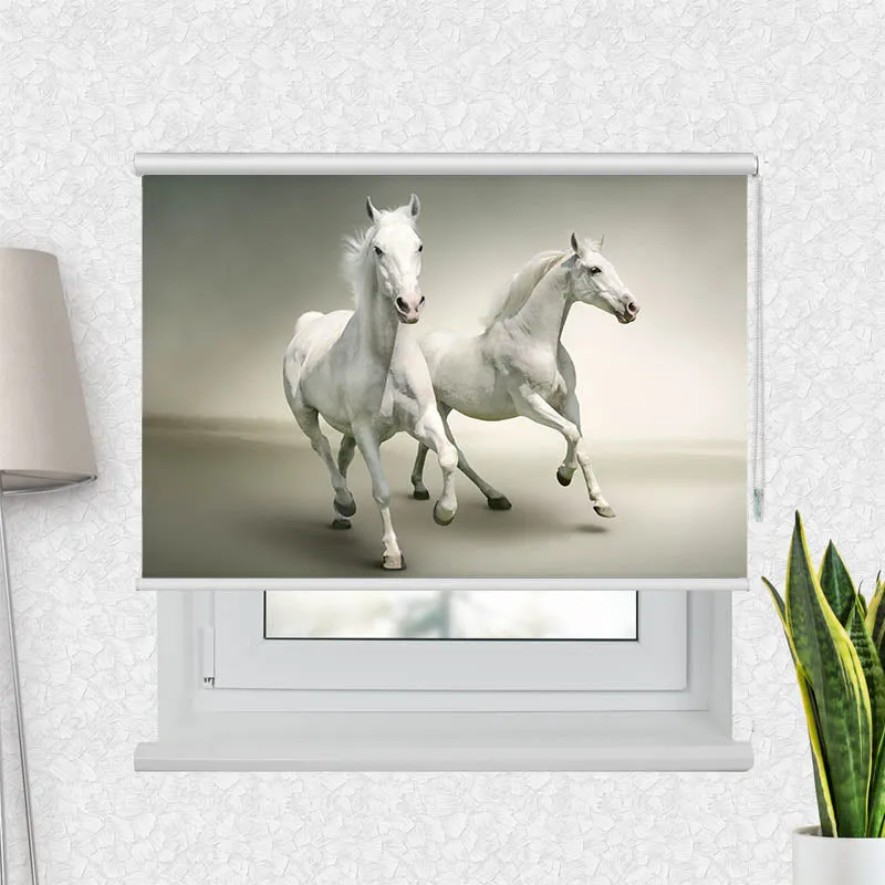 Motivrollo 'Pferde Schimmel' | Bis B 430 x H 440 cm
