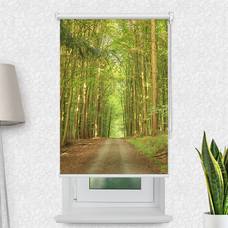 Motivrollo 'Bambuswald Weg' | Bis B 430 x H 440 cm