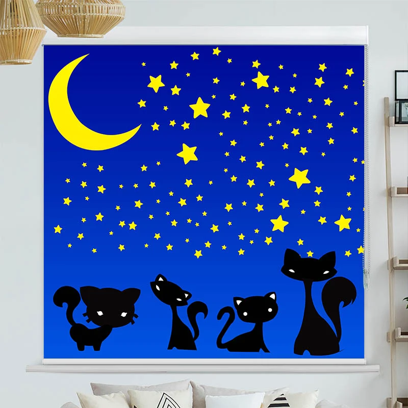 Kassettenrollo Motiv "Katzen Unter dem Sternenhimmel" | bis B 420 x H 420 cm