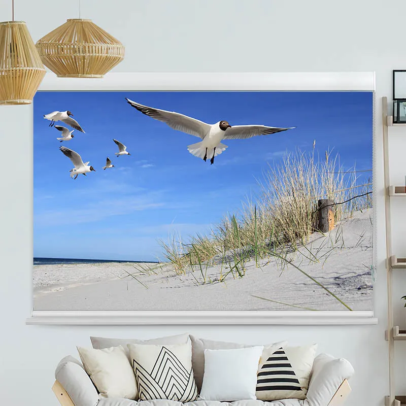 Kassettenrollo Motiv "Moewen am Strand" | bis B 420 x H 420 cm