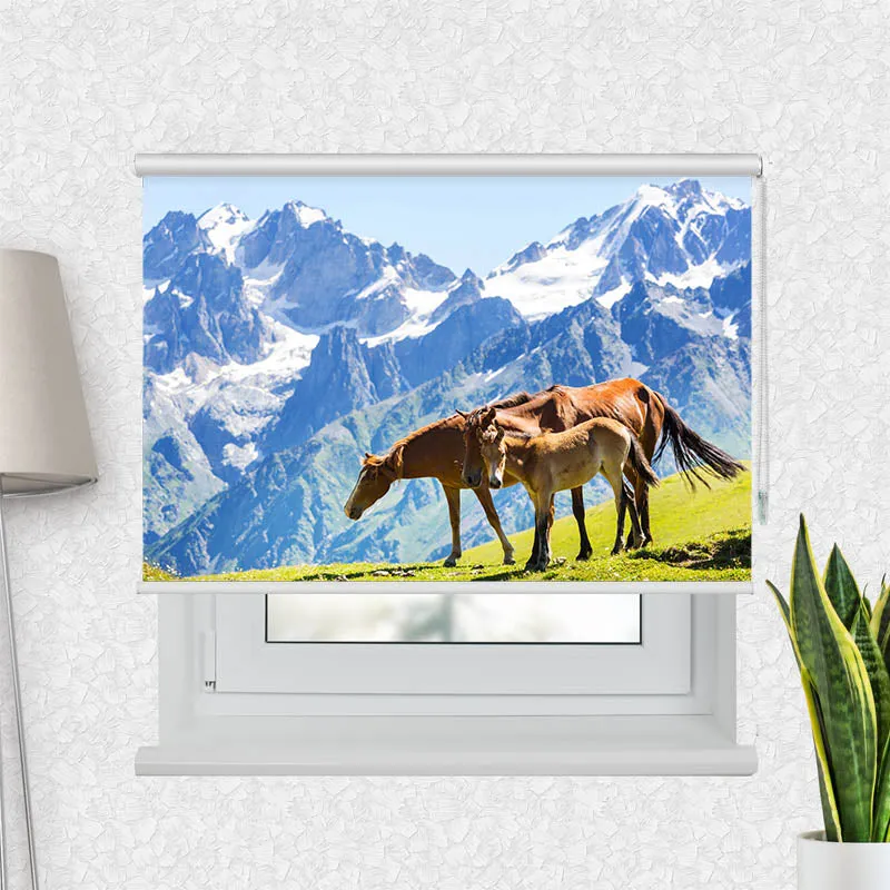 Motivrollo 'Pferde auf der Alm' | Bis B 430 x H 440 cm