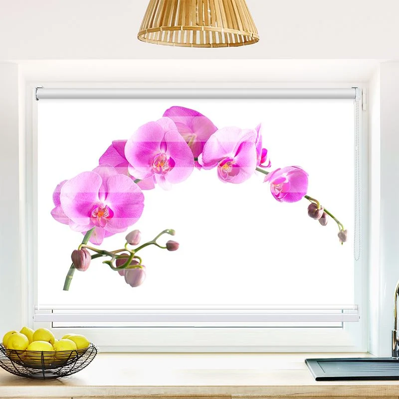 Klemmfix Doppelrollo "Orchidee" | Klemm Doppelrollo