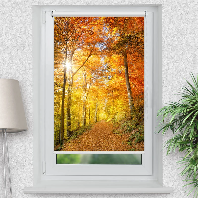 Klemmfix Rollo "Waldweg Herbst" | Motiv-Klemmrollo