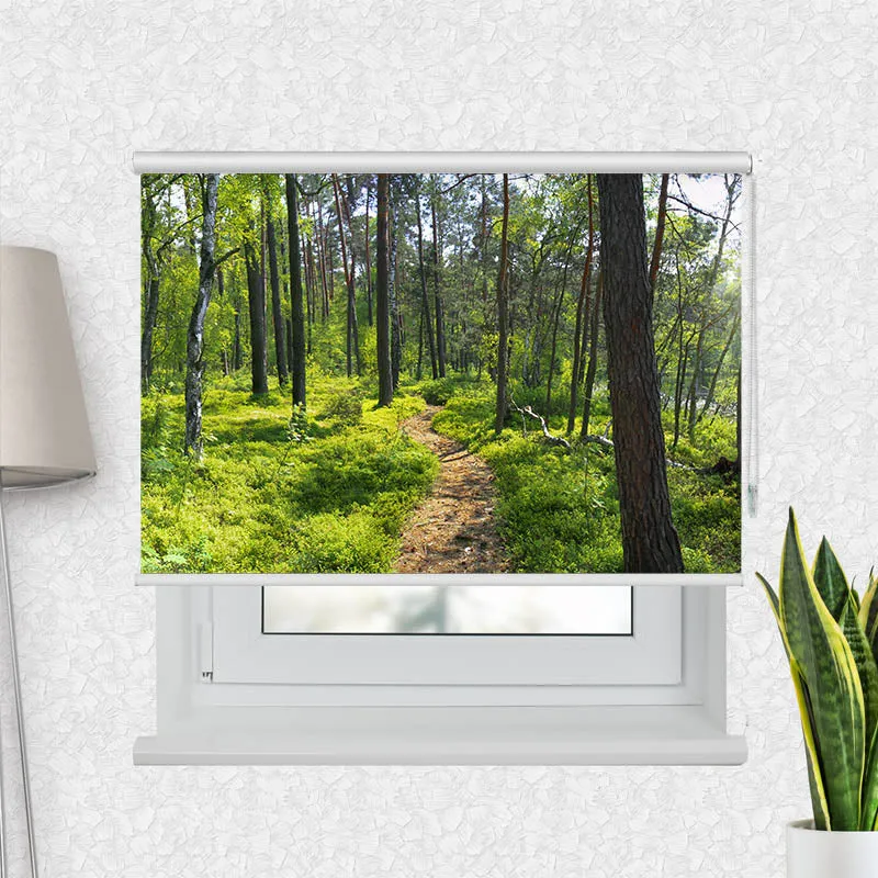 Motivrollo 'Wald Sonnenstrahlen Panorama' | Bis B 430 x H 440 cm