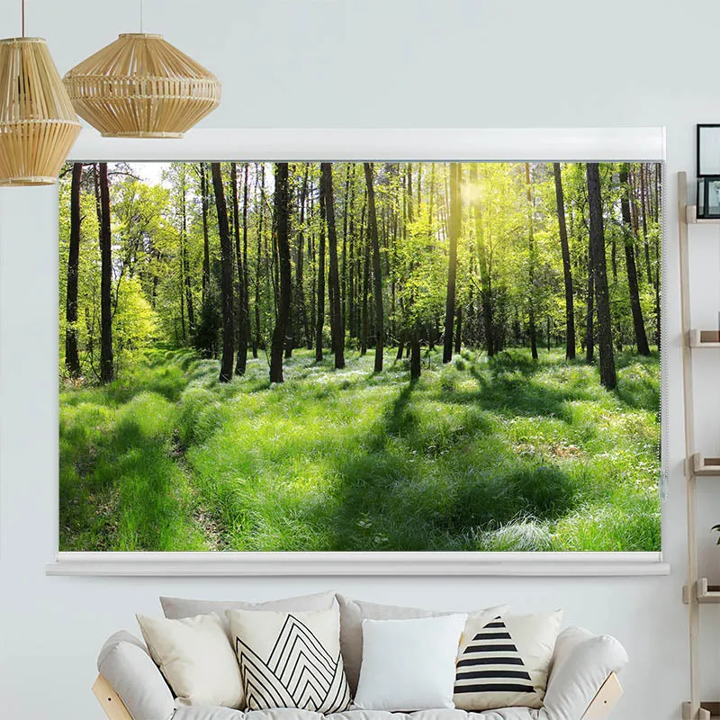 Kassettenrollo Motiv "Wald Panorama" | bis B 420 x H 420 cm