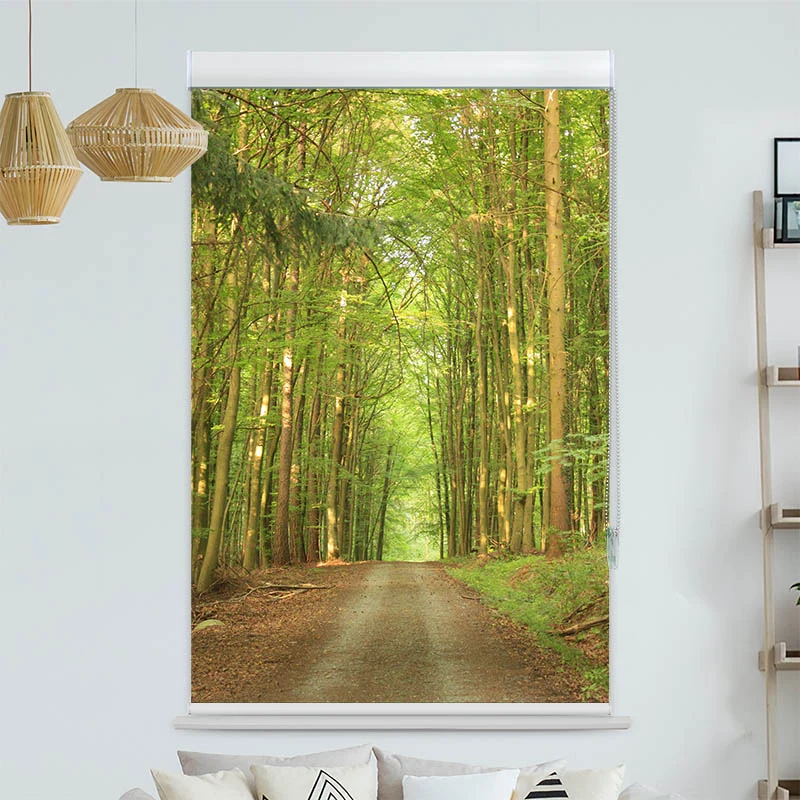 Kassettenrollo Motiv "Bambuswald Weg" | bis B 420 x H 420 cm