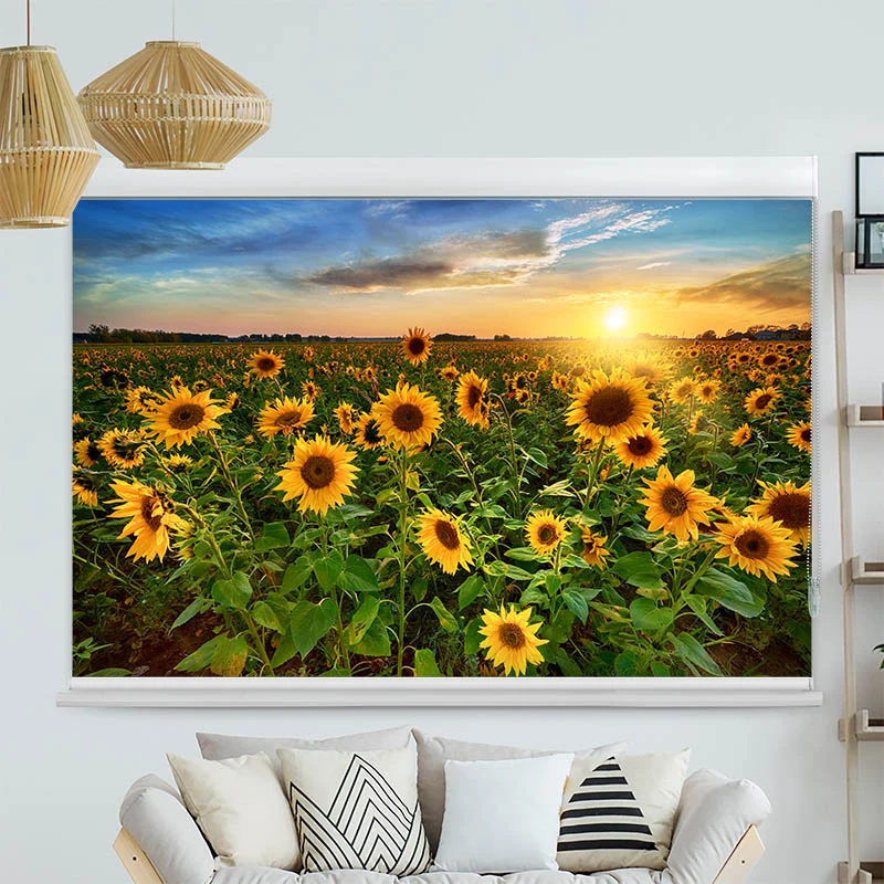 Kassettenrollo Motiv "Sonnenblumenfeld Sonnenaufgang" | bis B 420 x H 420 cm