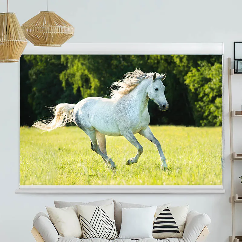 Kassettenrollo Motiv "Weisses Pferd im Gras" | bis B 420 x H 420 cm