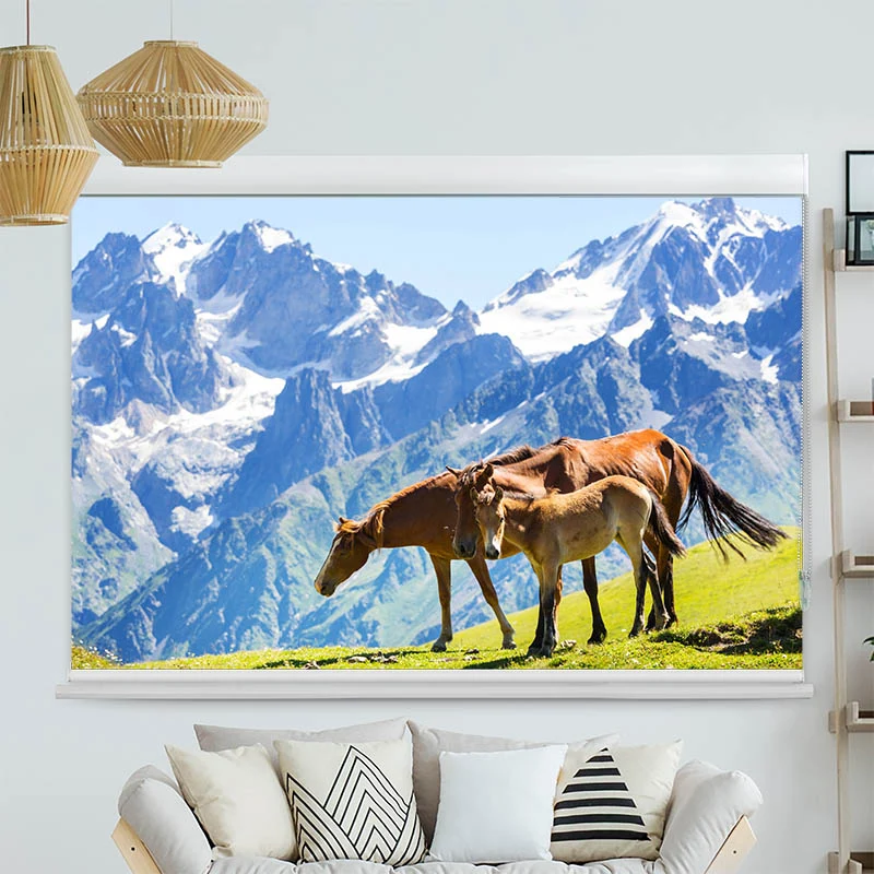 Kassettenrollo Motiv "Pferde auf der Alm" | bis B 420 x H 420 cm