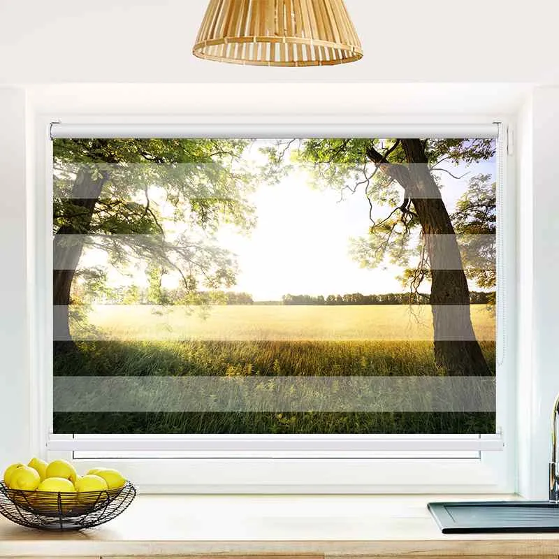 Klemmfix Doppelrollo "Feld mit Sonnenlicht" | Klemm Doppelrollo