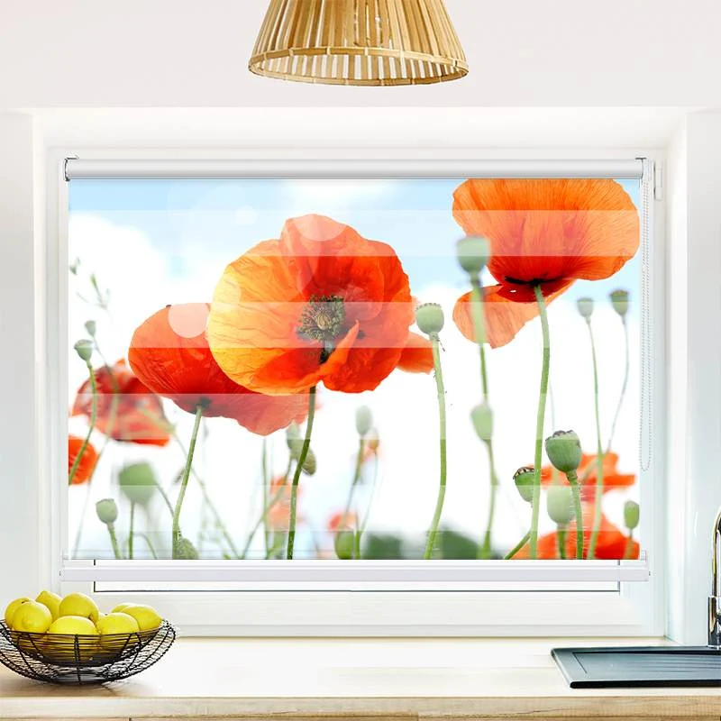Klemmfix Doppelrollo "Mohnblumen Panorama" | Klemm Doppelrollo
