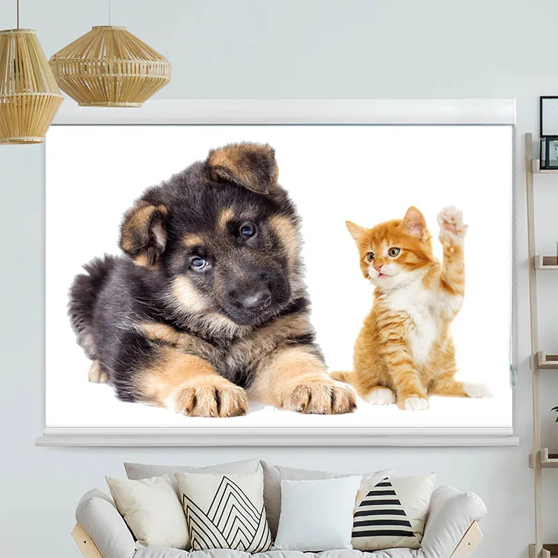 Kassettenrollo Motiv "Welpe und Kitten" | bis B 420 x H 420 cm