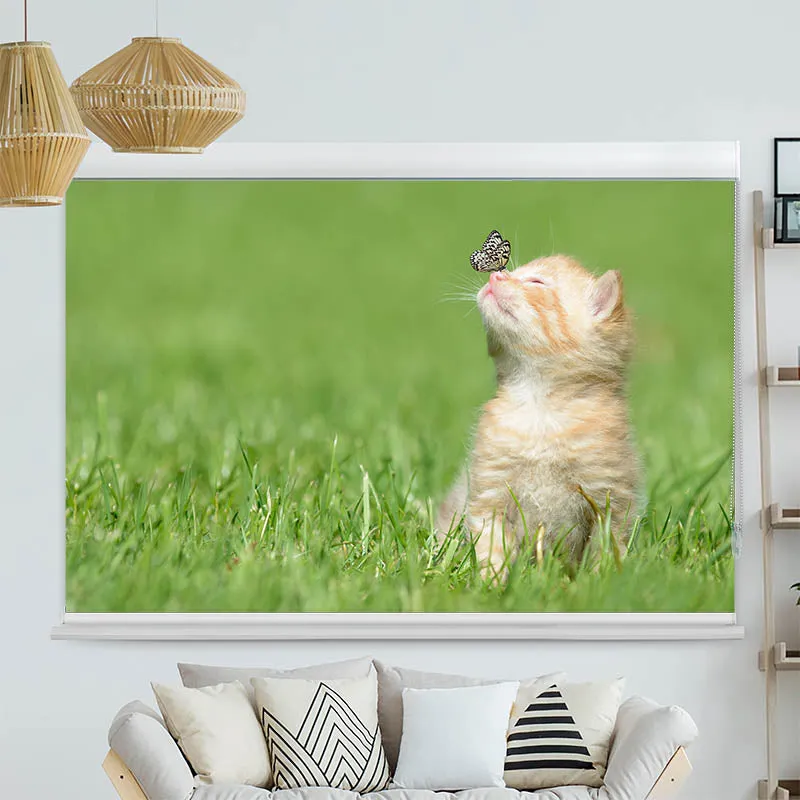 Kassettenrollo Motiv "Kitten und Schmetterling" | bis B 420 x H 420 cm