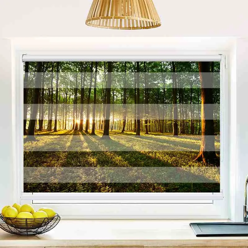 Klemmfix Doppelrollo "Sonnenstrahlen im Wald" | Klemm Doppelrollo