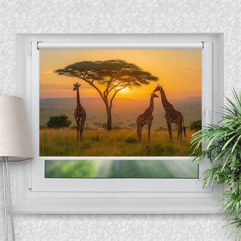 Klemmfix Rollo "Afrika Giraffen Savanne" | Motiv-Klemmrollo