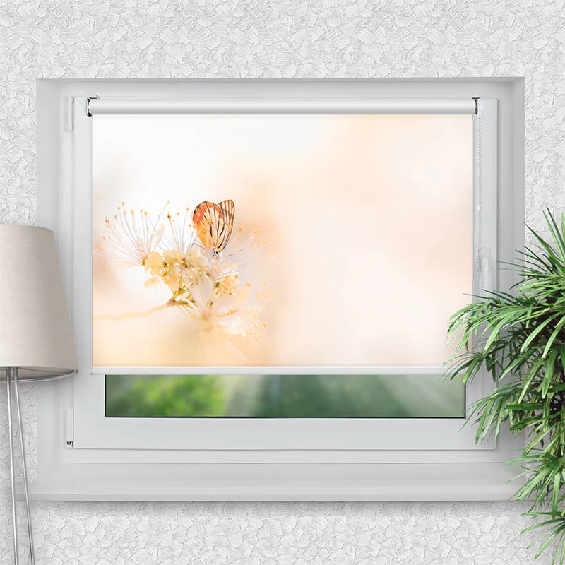 Klemmfix Rollo "Schmetterling auf Bleute" | Motiv-Klemmrollo