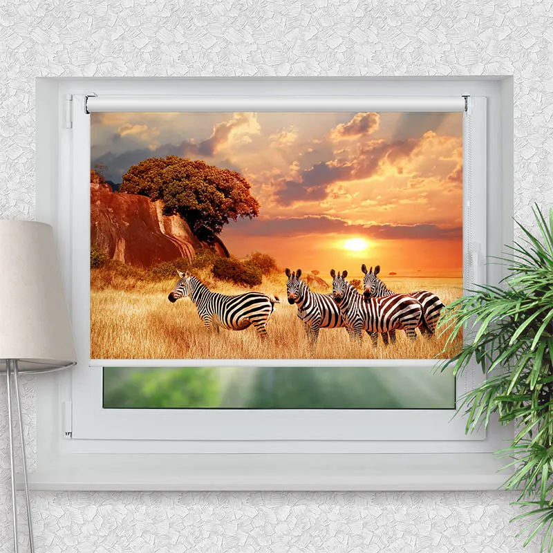 Klemmfix Rollo "Zebras in Afrikas Savanne" | Motiv-Klemmrollo