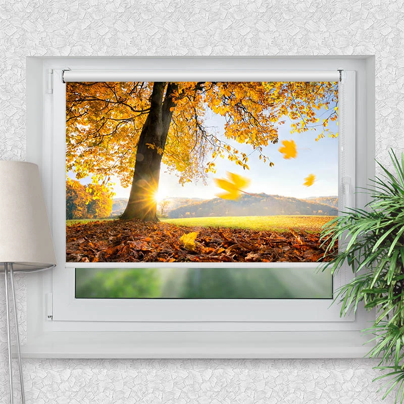 Klemmfix Rollo "Baum Wiese Herbst" | Motiv-Klemmrollo