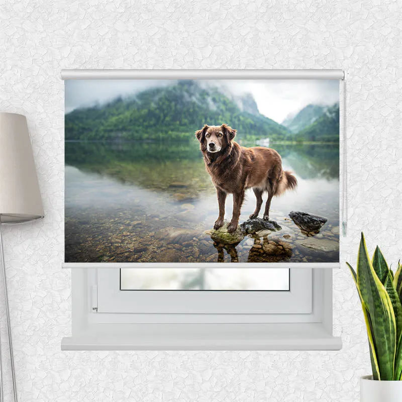 Motivrollo 'Hund am Bergsee' | Bis B 430 x H 440 cm
