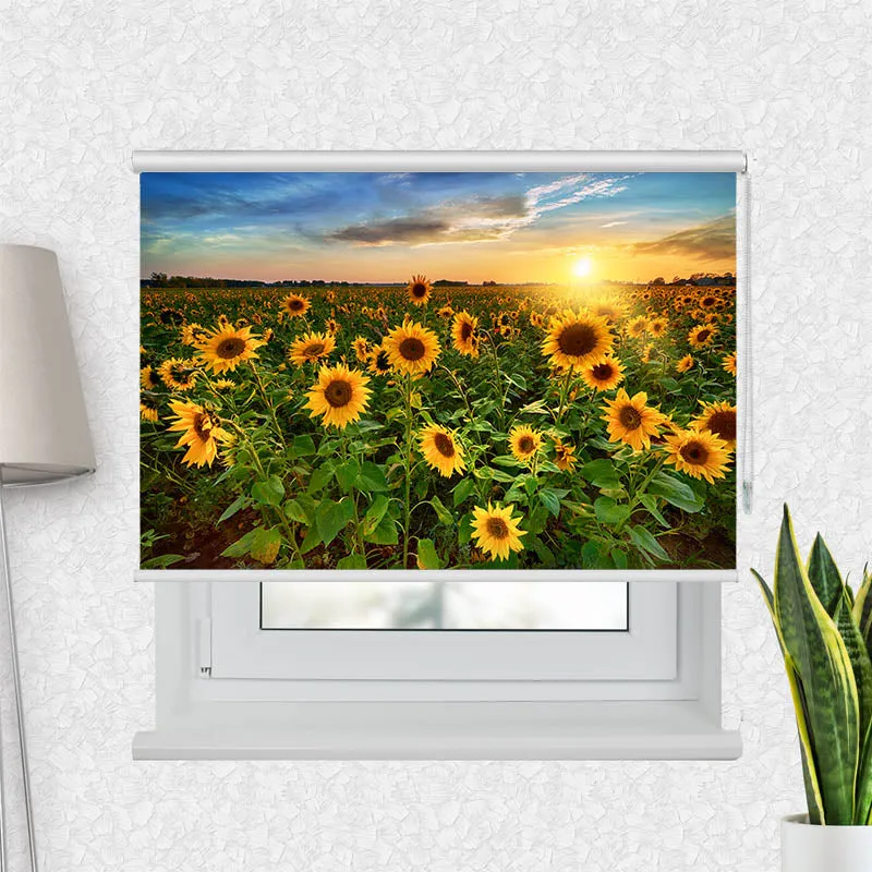 Motivrollo 'Sonnenblumenfeld Sonnenaufgang' | Bis B 430 x H 440 cm
