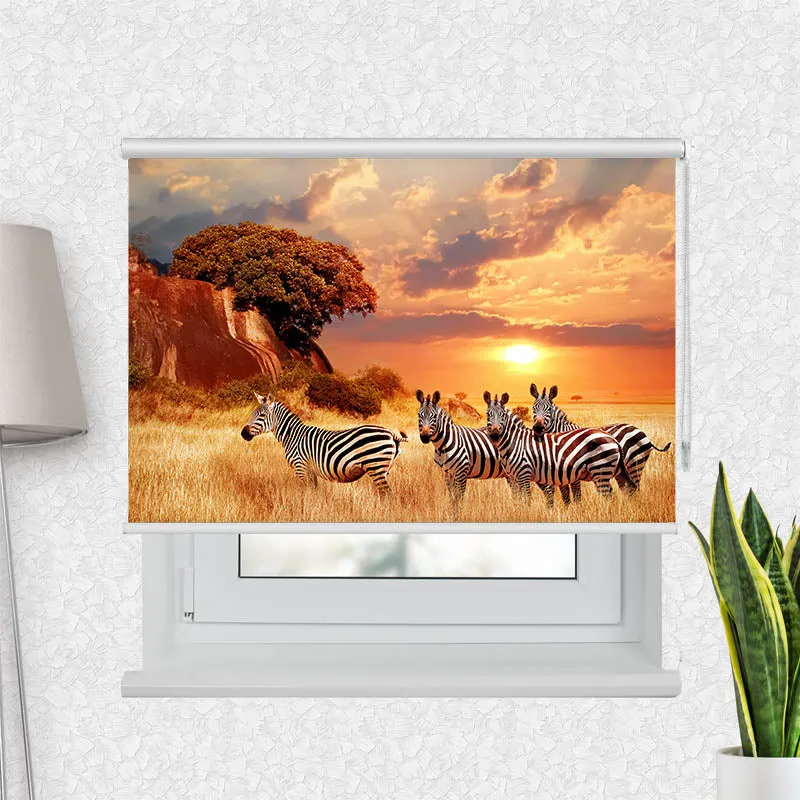 Motivrollo 'Zebras in Afrikas Savanne' | Bis B 430 x H 440 cm