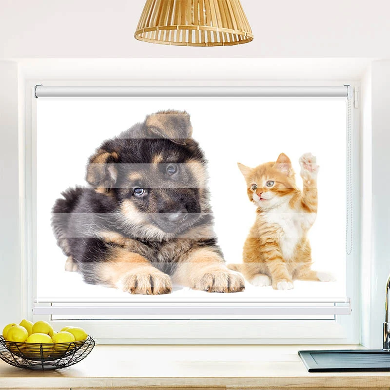Klemmfix Doppelrollo "Welpe und Kitten" | Klemm Doppelrollo